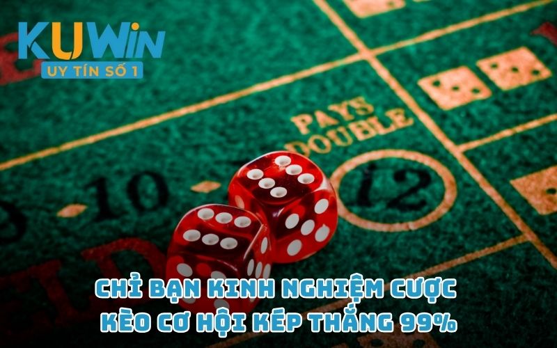 Chỉ bạn kinh nghiệm cược kèo cơ hội kép thắng 99%