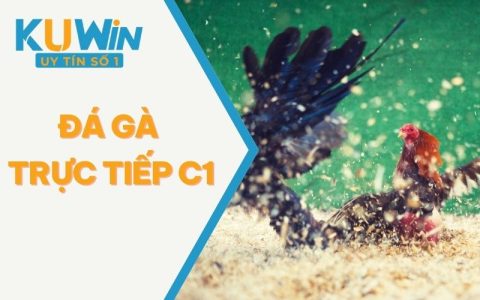 Đá Gà Trực Tiếp C1 Và Thông Tin Mà Bạn Nên Biết Từ KUWIN