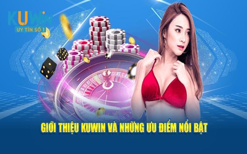 Hội viên đánh giá chất lượng của nền tảng