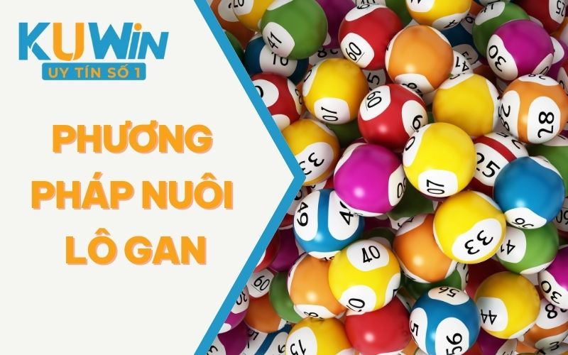 Phương Pháp Nuôi Lô Gan Chuẩn Xác Đến Từ Sảnh Cược KUWIN