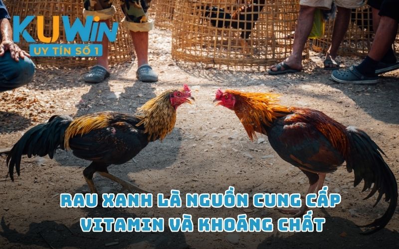 Rau xanh là nguồn cung cấp vitamin và khoáng chất